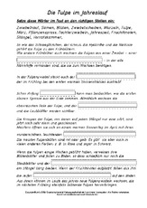 Die-Tulpe-im-Jahreslauf-Lückentext.pdf